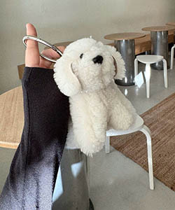 ��ǰ ������